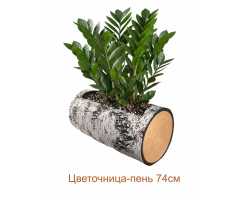 Цветочница-пень "БЕРЕЗА" горизонтальная, 74 см